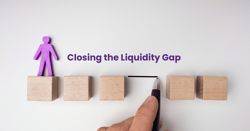 Closing the Liquidity Gap:...